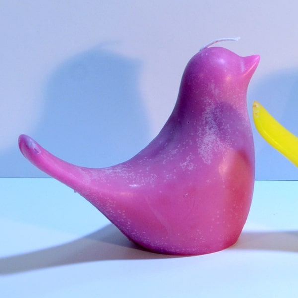 Kerze Vogel – Bild 7