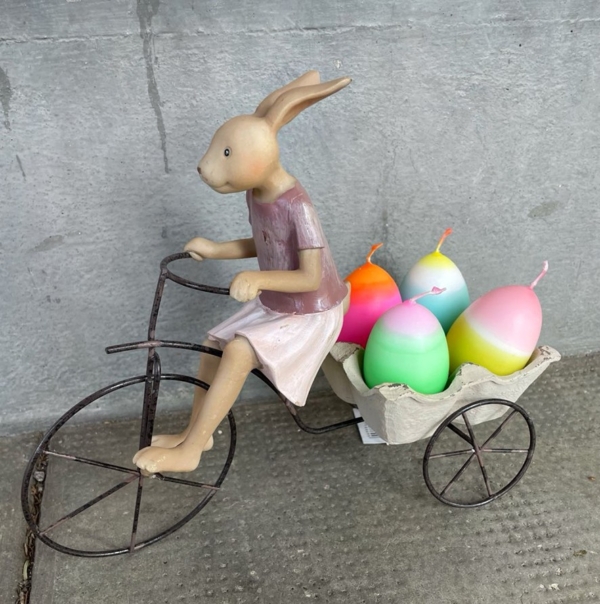 Hasenmädchen auf Velo