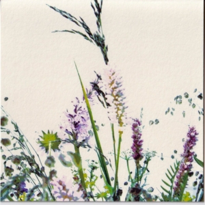 Karte Blumenwiese gross
