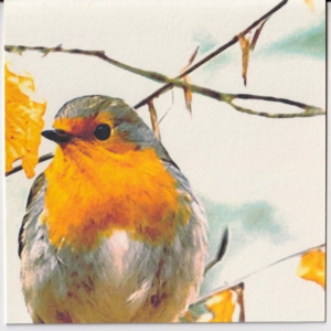Karte Vogel Herbst gross