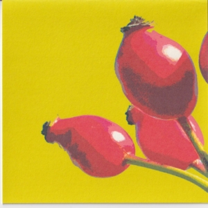 Karte Hagebutte gross