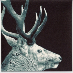 Karte Hirsch gross