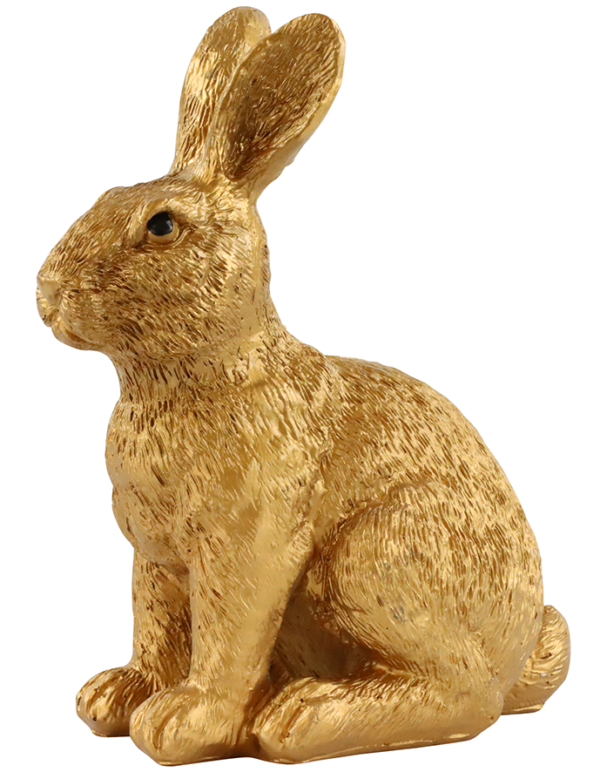 Hase Gold mittel