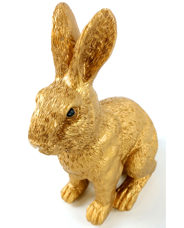 Hase Gold mittel – Bild 2