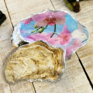 Muschelschale Auster mit Deckel Silberrand