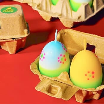 Eierkarton Frühling