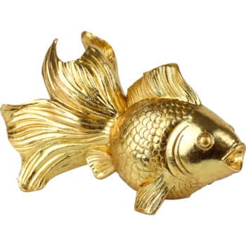 Goldfisch